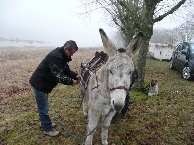 Loire Propre 2012 (2).jpg